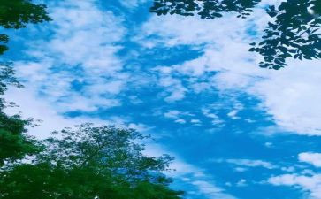 小学回忆作文600字7篇
