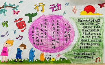 2024年护苗在行动观后感5篇