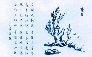 保护生态环境的演讲稿优质6篇