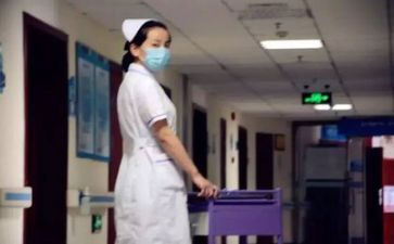 护士个人总结及心得体会8篇