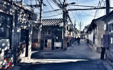 北京的胡同作文8篇