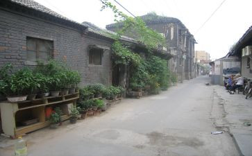胡同鞋读后感6篇