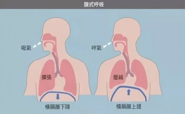 呼吸的心得体会参考7篇