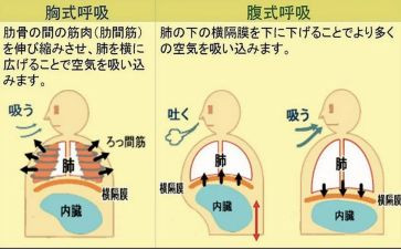 呼吸的心得体会6篇
