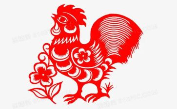 喂小鸡教案反思5篇