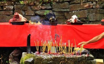 清明祭祀心得体会600精选6篇