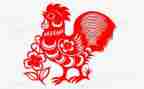 喂小鸡教案反思5篇