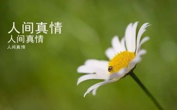 真情流露作文600字7篇