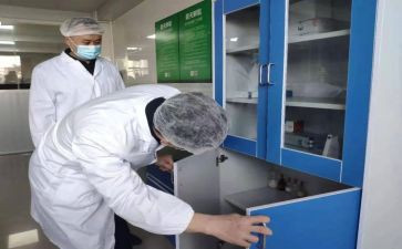 检验工作年终总结6篇