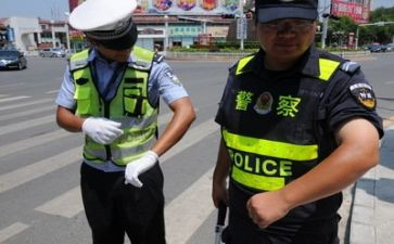 交警队工作总结5篇