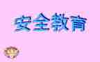 学生教育安全工作总结范文6篇