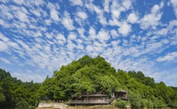 津彩假日心得体会7篇