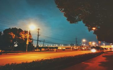 关于街头错别调查报告5篇