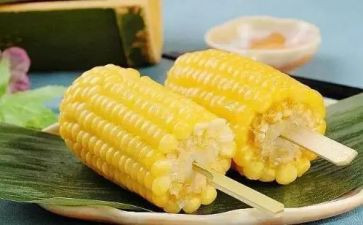 收玉米的心得7篇