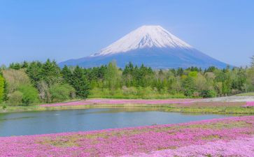 写景作文600字模板6篇