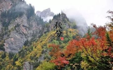 24节气的活动方案8篇
