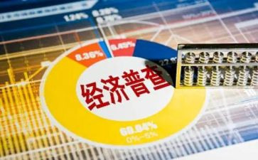乡镇四经普工作计划参考7篇