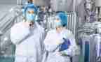 技术标工作计划最新6篇