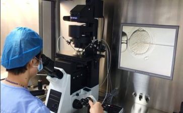 技术部年度工作计划参考8篇