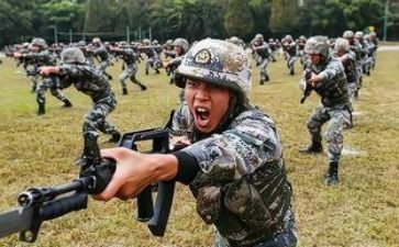 暑期集训心得体会教师2023优质7篇