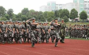 军训活动个人总结精选7篇