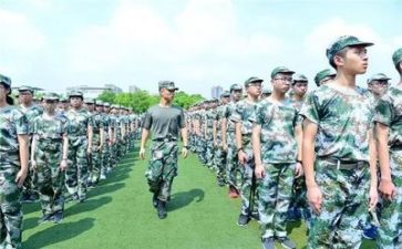 军军训心得体会500字7篇