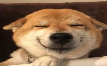 他开心了450作文精选5篇