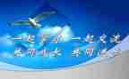 新课改的心得体会6篇
