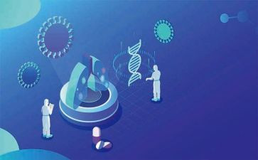 大班科学教案模板模板8篇