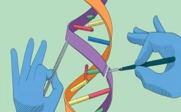 桂馨科学心得体会优秀8篇