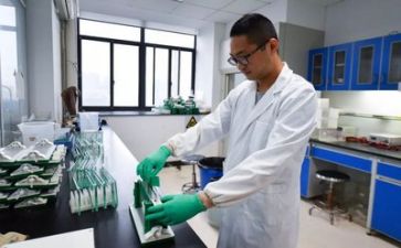 科研工作总结个人范文8篇