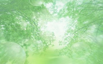 关于空气污染调查报告6篇