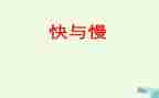 快与慢材料作文5篇