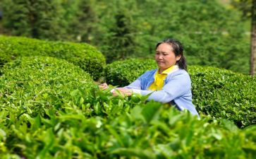 学习来陕心得体会范文优质7篇