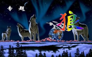 《狼》的心得体会优秀5篇