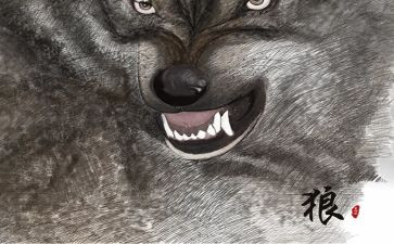 《狼》的心得体会100字优秀7篇
