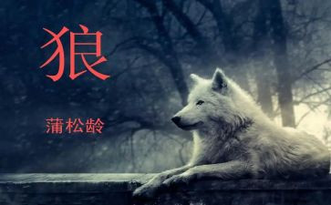 《狼》的心得体会100字模板8篇