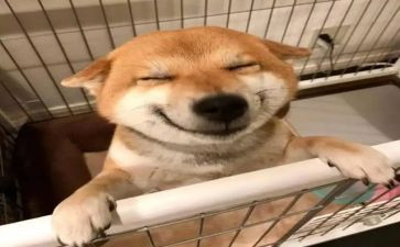 一年级音乐教学反思推荐8篇