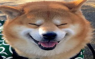 一年级音乐教学反思7篇