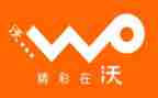 2024年联通工作总结5篇