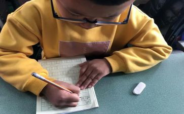 练字之心得体会8篇