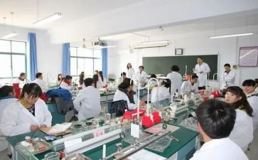 理化生教研组计划工作计划精选7篇