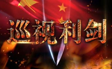 看巡视利剑心得体会7篇
