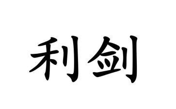 巡利剑心得体会5篇