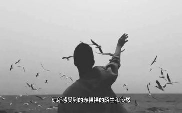 从未离开作文5篇