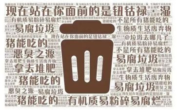 垃圾分类的心得体会400模板7篇