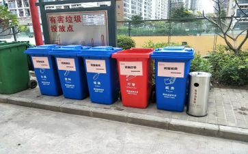 捡垃圾的活动总结5篇