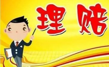 理赔个人总结5篇
