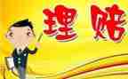 理赔个人总结5篇