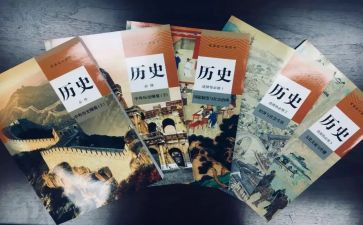 历史教师年度个人总结优质8篇